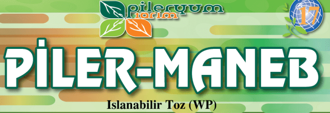 PİLER-MANEB